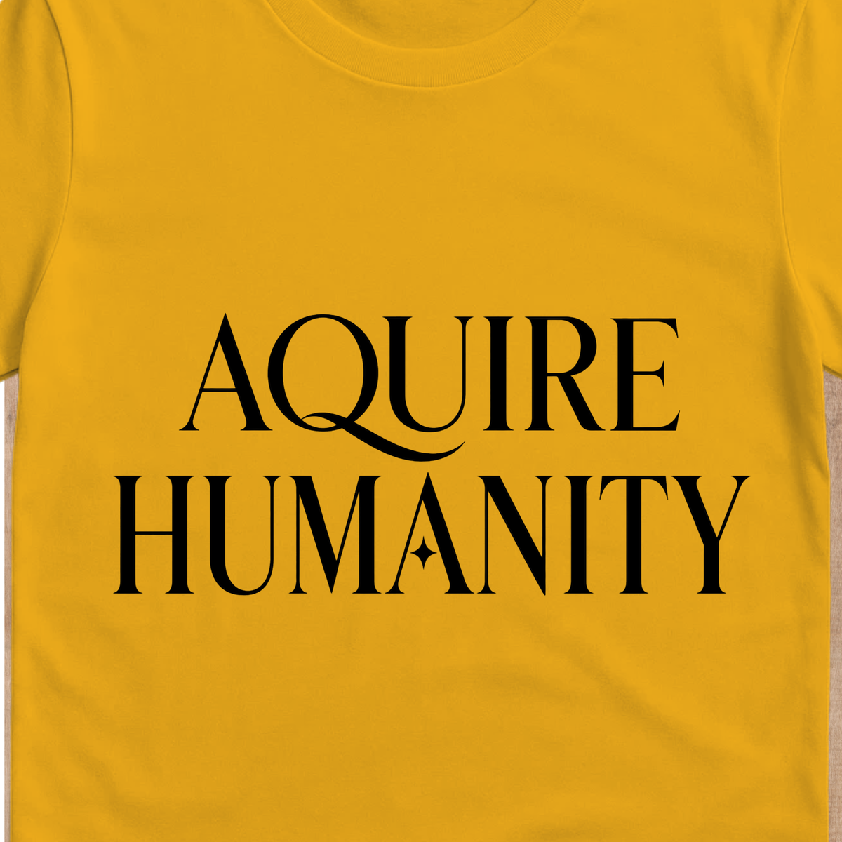 Acquire Humanity T-Shirt | Inspirational Front & Back Statement Tee